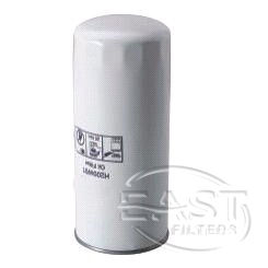 Fuel Filter H200W01